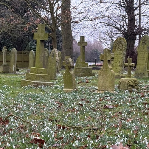 Cemetery, Churchyard or Natural Burial Ground: What’s the Difference?